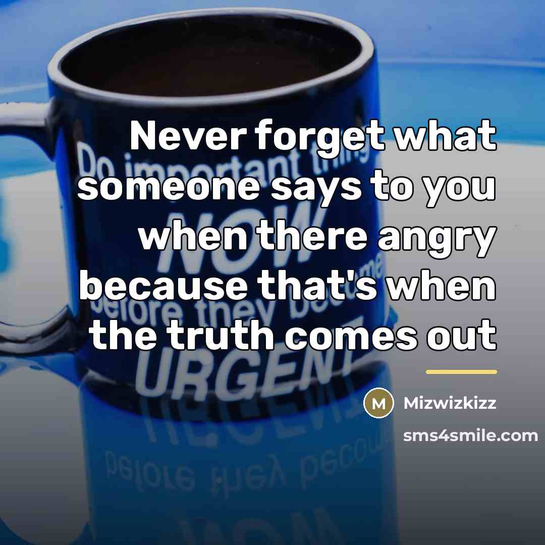 “Never forget what someone says to you when there angry…” quote by Mizwizkizz