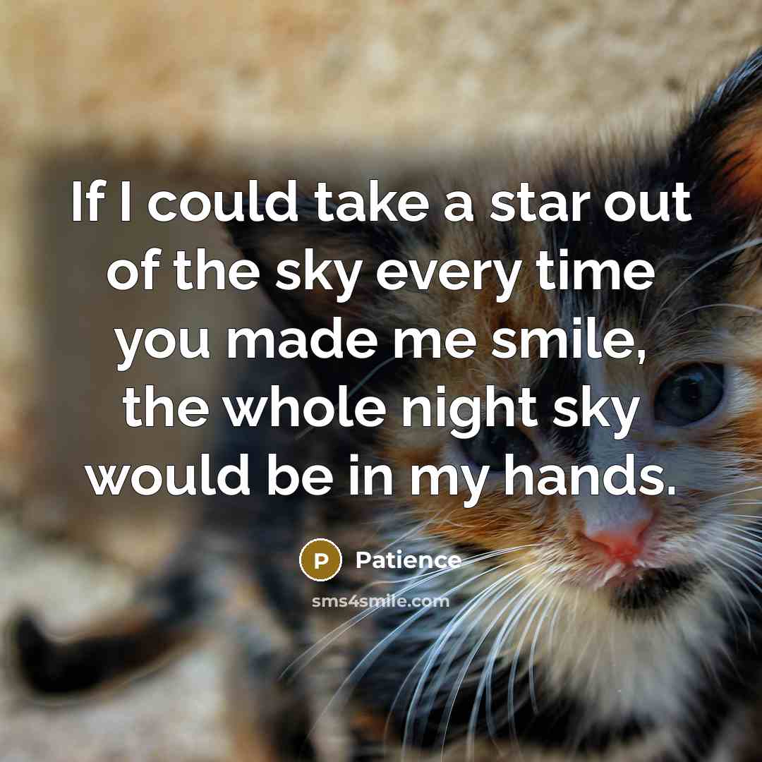 “If I could take a star out of the sky…” quote by Patience