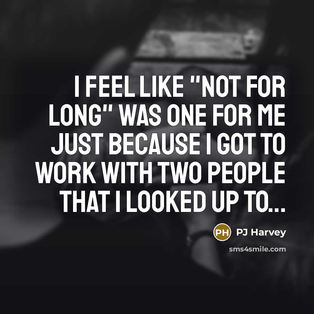“I feel like "Not For Long" was one for me…” quote by PJ Harvey
