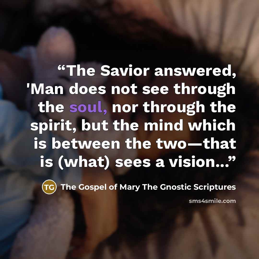 “The Savior answered, 'Man does not see through the soul, nor through the spirit, but the mind which is between the two—that is (what) sees a vision...” quote by The Gospel of Mary The Gnostic Scriptures