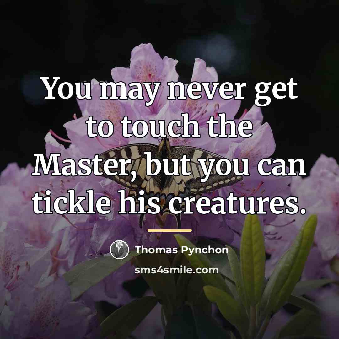 “You may never get to touch the Master, but you…” quote by Thomas Pynchon