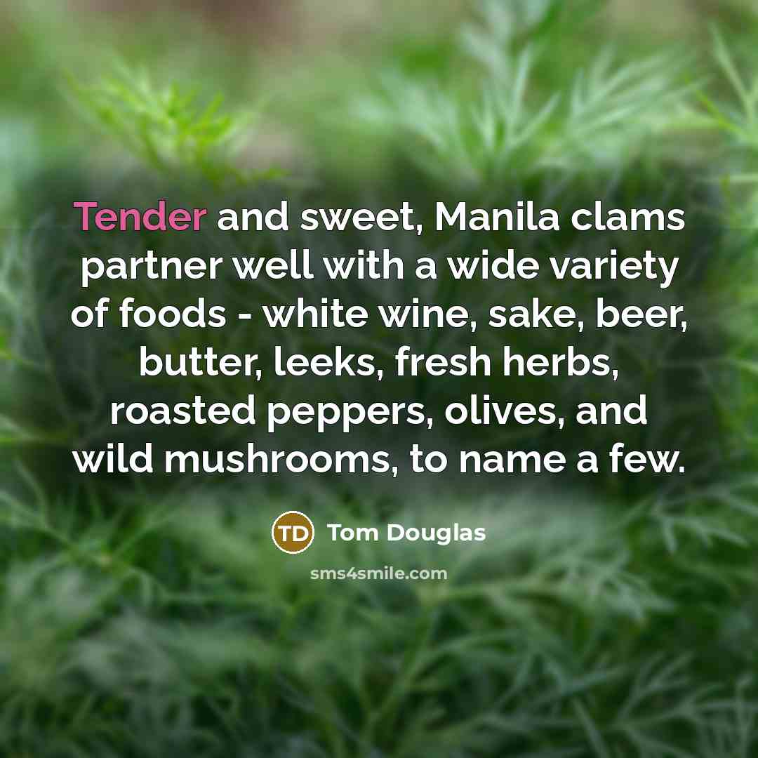 “Tender and sweet, Manila clams partner well with a wide…” quote by Tom Douglas