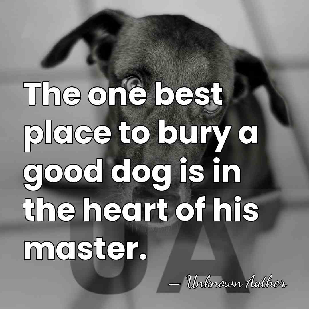 The one best place to bury a good dog is in the&hellip; - Unknown Author