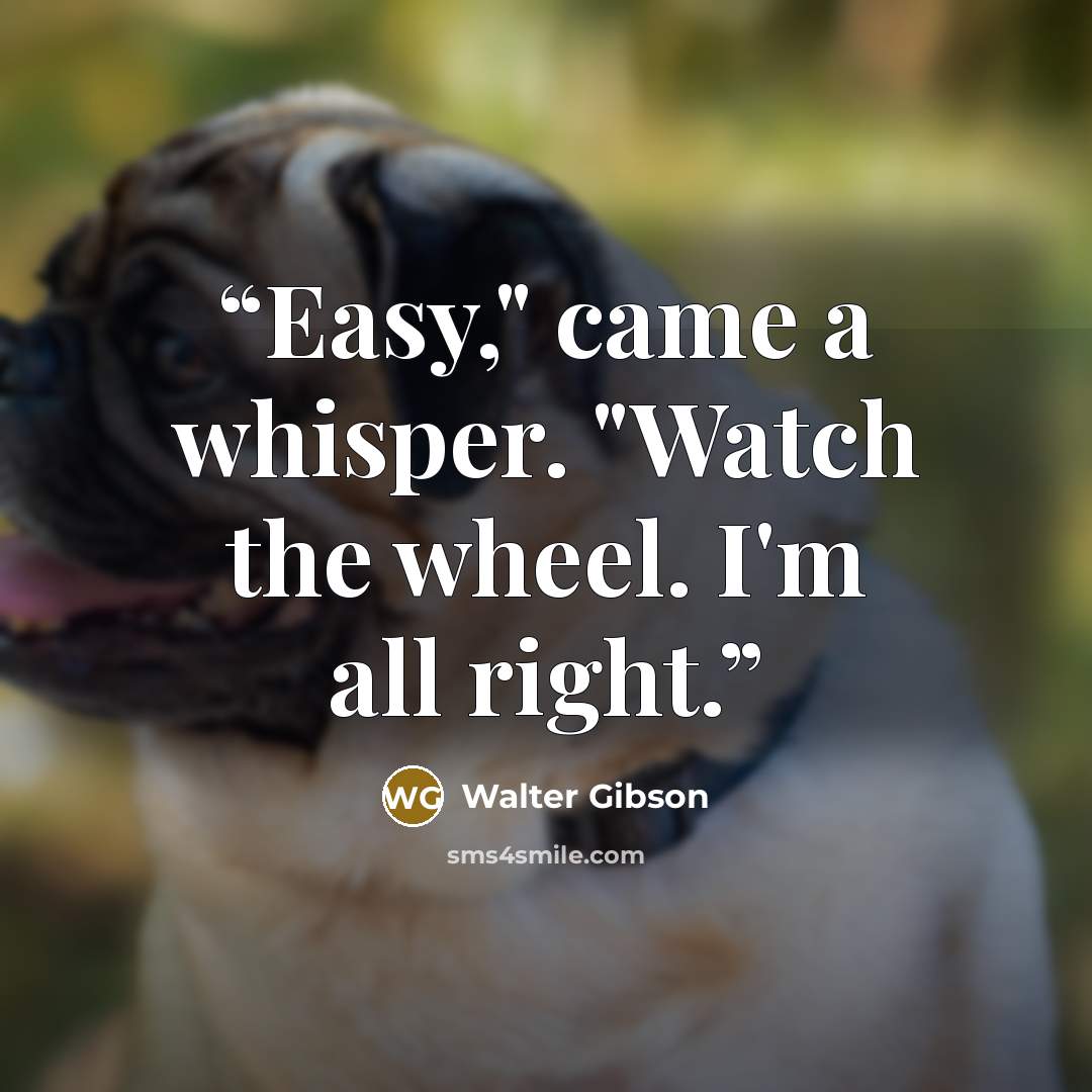 “Easy," came a whisper. "Watch the wheel. I'm all right.” quote by Walter Gibson