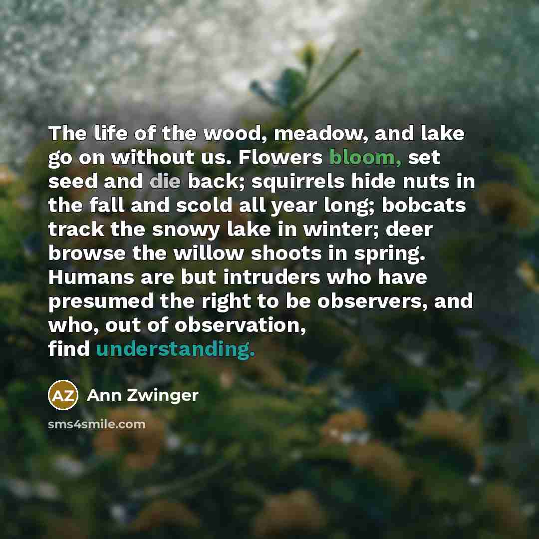 “The life of the wood, meadow, and lake go on…” quote by Ann Zwinger