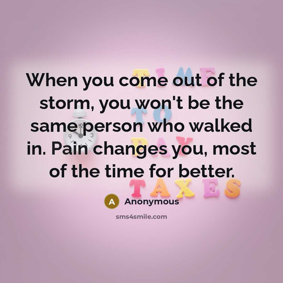 “When you come out of the storm, you won't be the same person who walked in. Pain changes you, most of the time for better.” quote by Anonymous