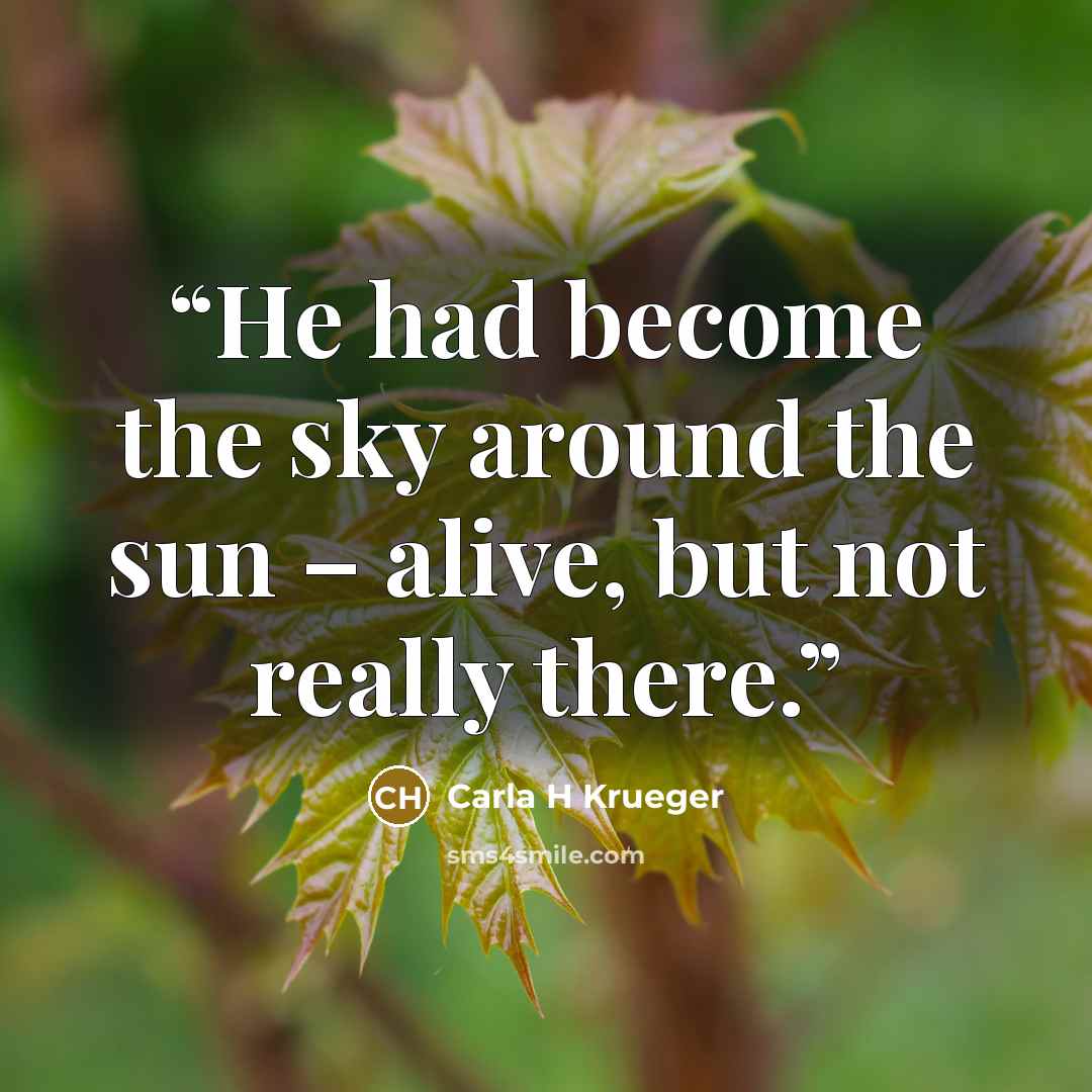 “He had become the sky around the sun – alive, but not really there.” quote by Carla H Krueger