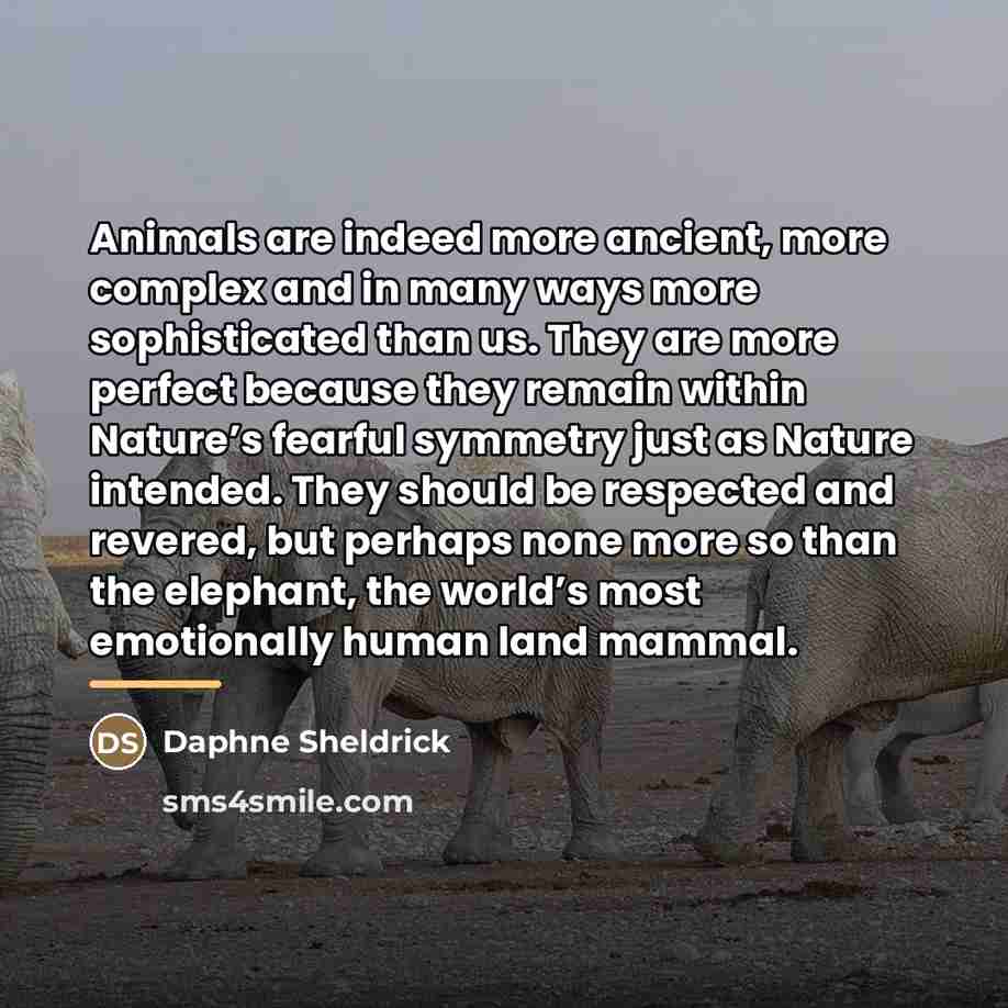 “Animals are indeed more ancient, more complex and in many…” quote by Daphne Sheldrick