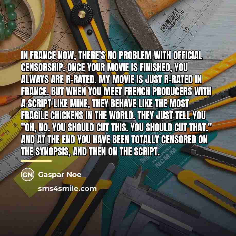 “In France now, there's no problem with official censorship. Once…” quote by Gaspar Noe