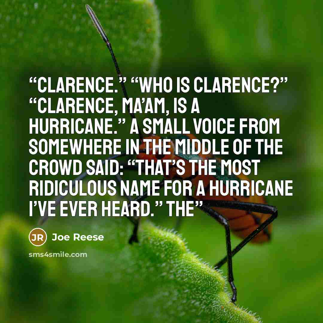 “Clarence.” “Who is Clarence?” “Clarence, ma’am, is a hurricane.” A small voice from somewhere in the middle of the crowd said: “That’s the most ridiculous name for a hurricane I’ve ever heard.” The” quote by Joe Reese