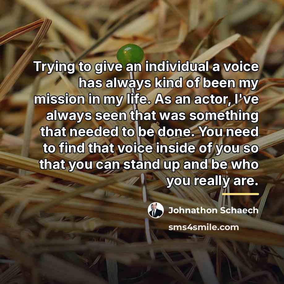 “Trying to give an individual a voice has always kind…” quote by Johnathon Schaech