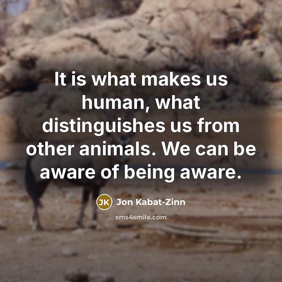 “It is what makes us human, what distinguishes us from…” quote by Jon Kabat-Zinn