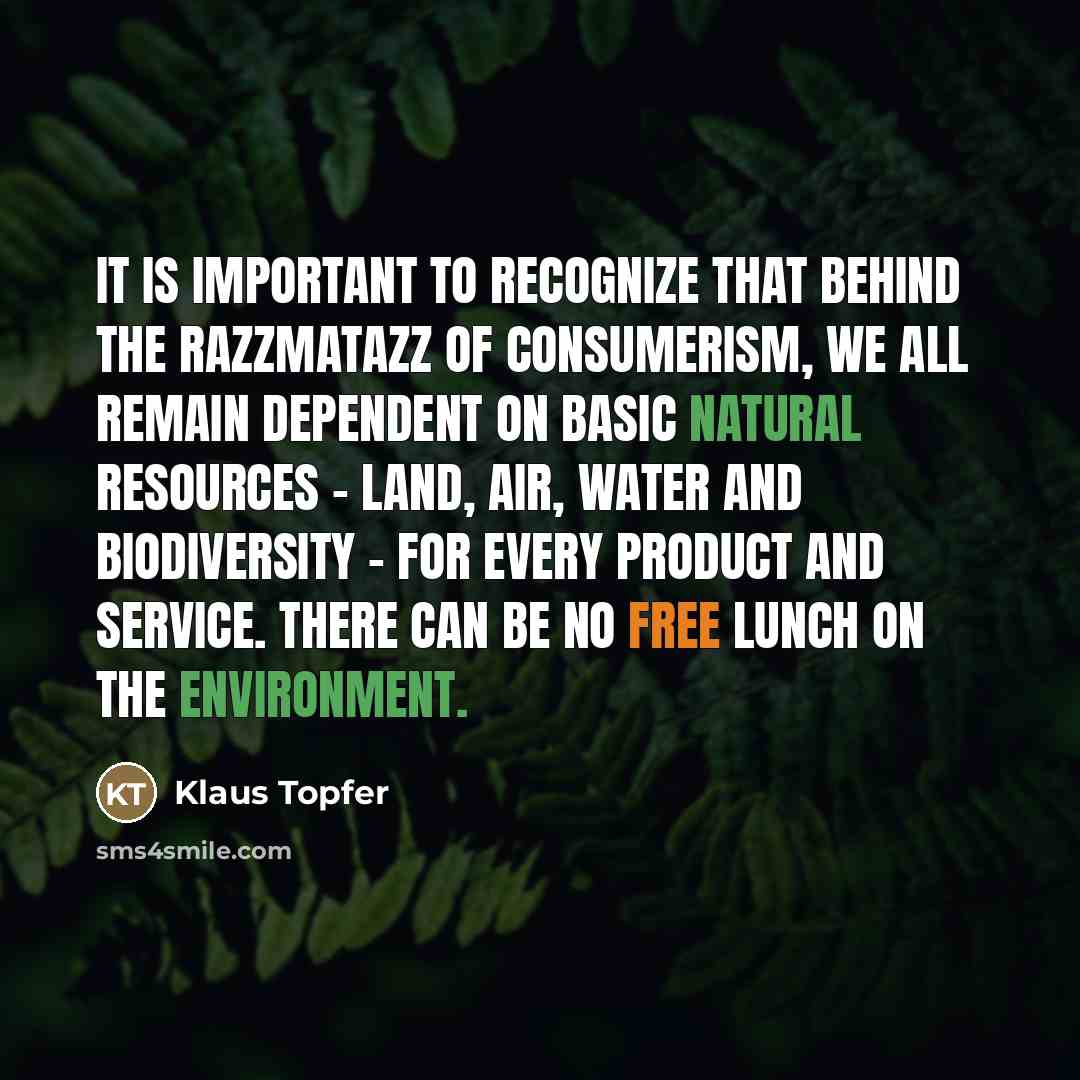 “It is important to recognize that behind the razzmatazz of…” quote by Klaus Topfer