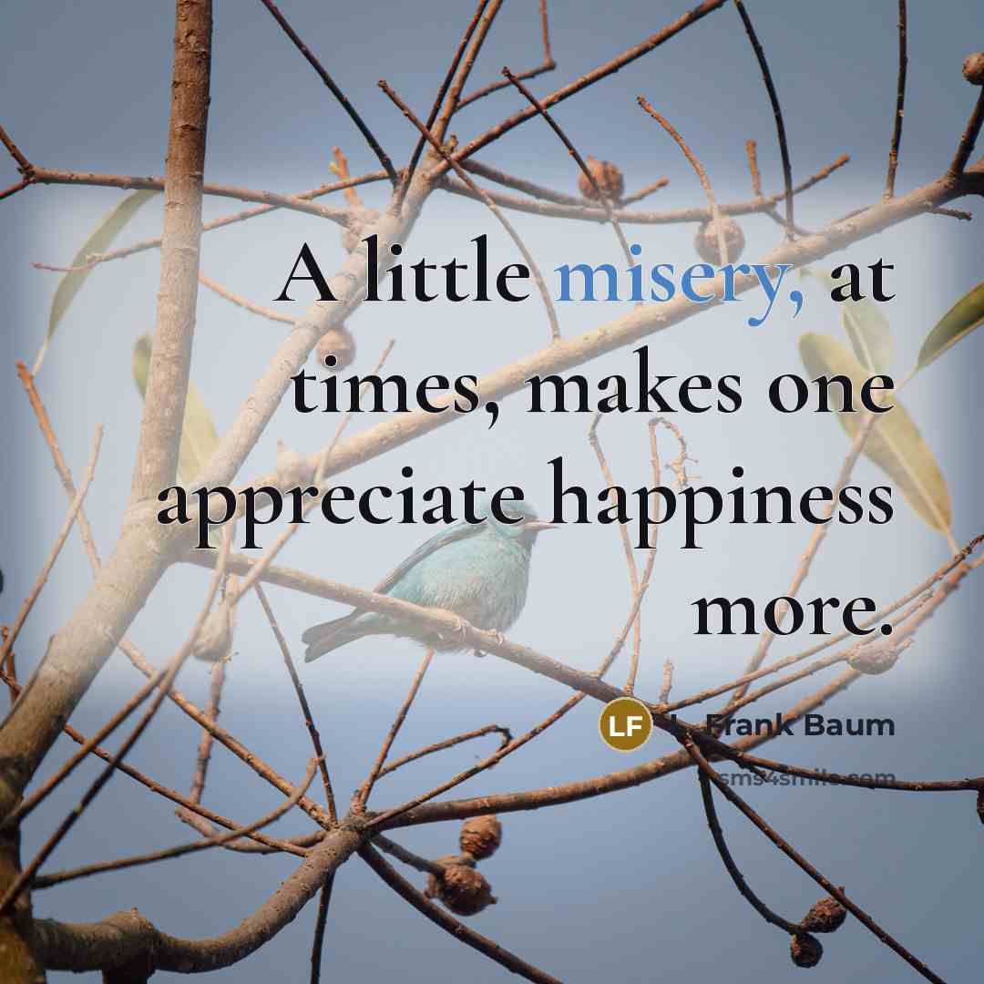 “A little misery, at times, makes one appreciate happiness more.…” quote by L. Frank Baum