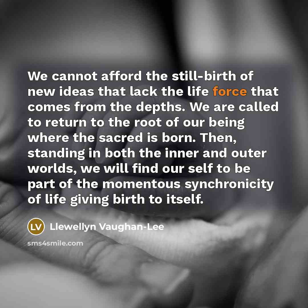 “We cannot afford the still-birth of new ideas that lack…” quote by Llewellyn Vaughan-Lee