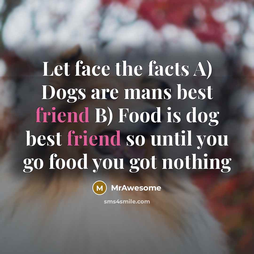 “Let face the facts A) Dogs are mans best friend…” quote by MrAwesome