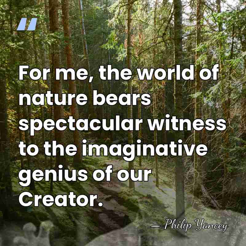 For me, the world of nature bears spectacular witness to the imaginative&hellip; - Philip Yancey