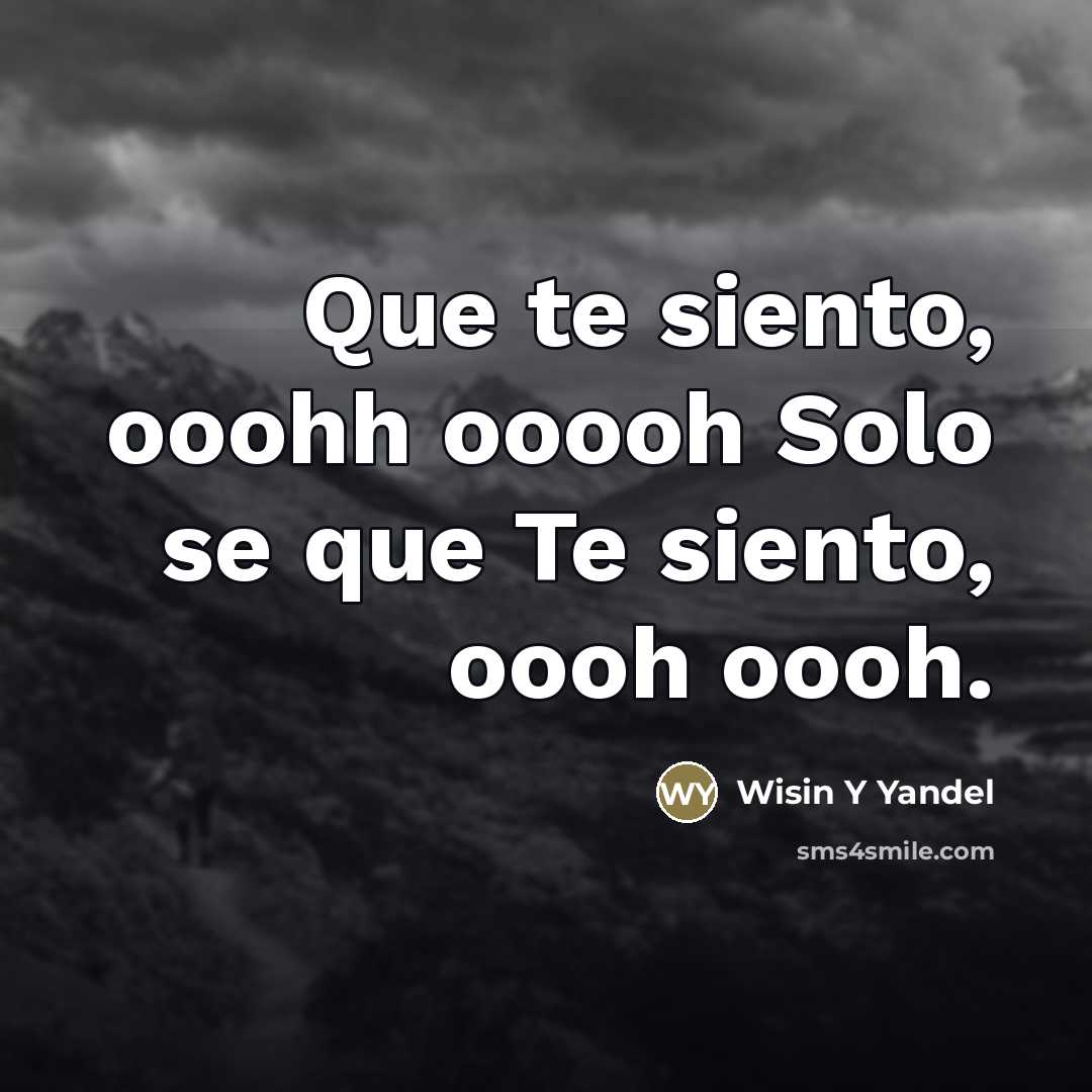 “Que te siento, ooohh ooooh Solo se que Te siento,…” quote by Wisin Y Yandel