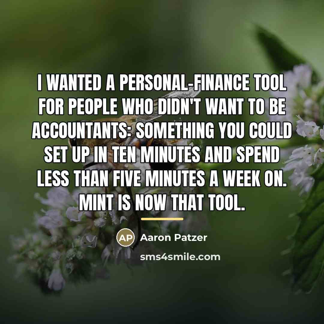 “I wanted a personal-finance tool for people who didn't want…” quote by Aaron Patzer