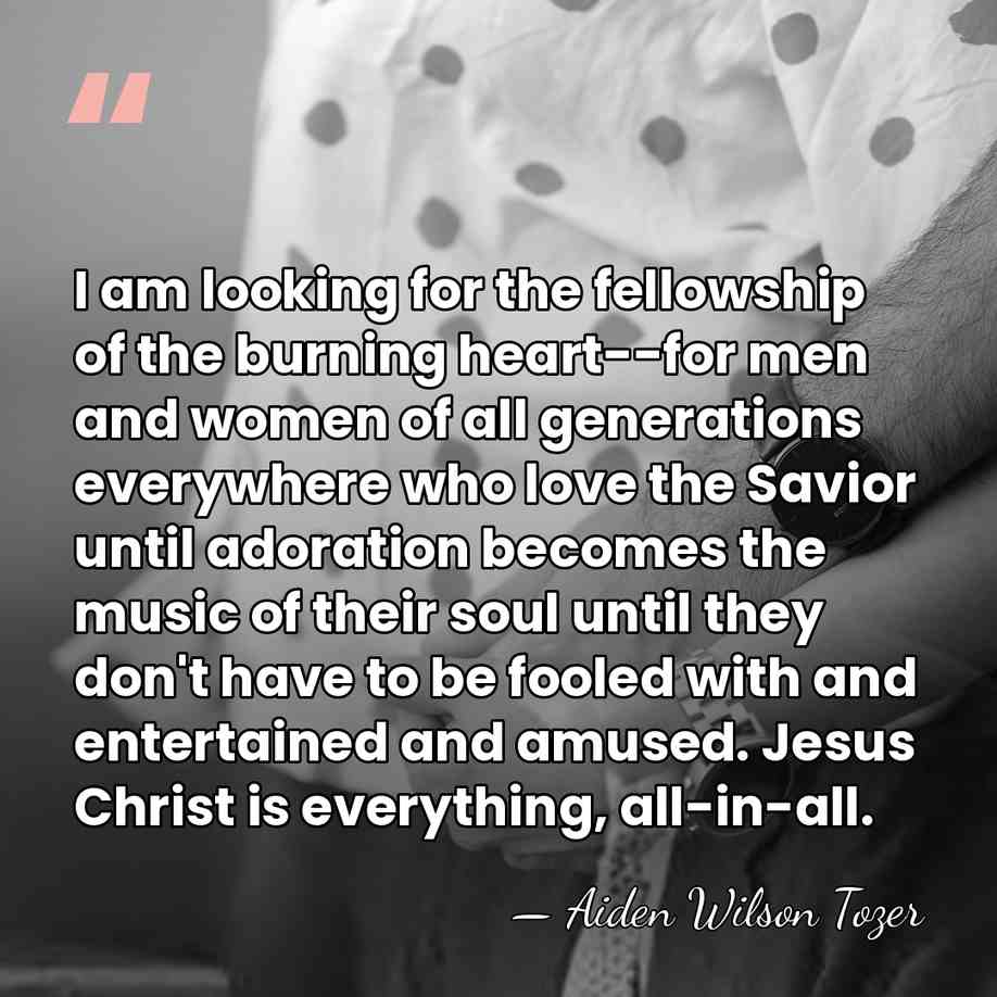 I am looking for the fellowship of the burning heart--for men and&hellip; - Aiden Wilson Tozer