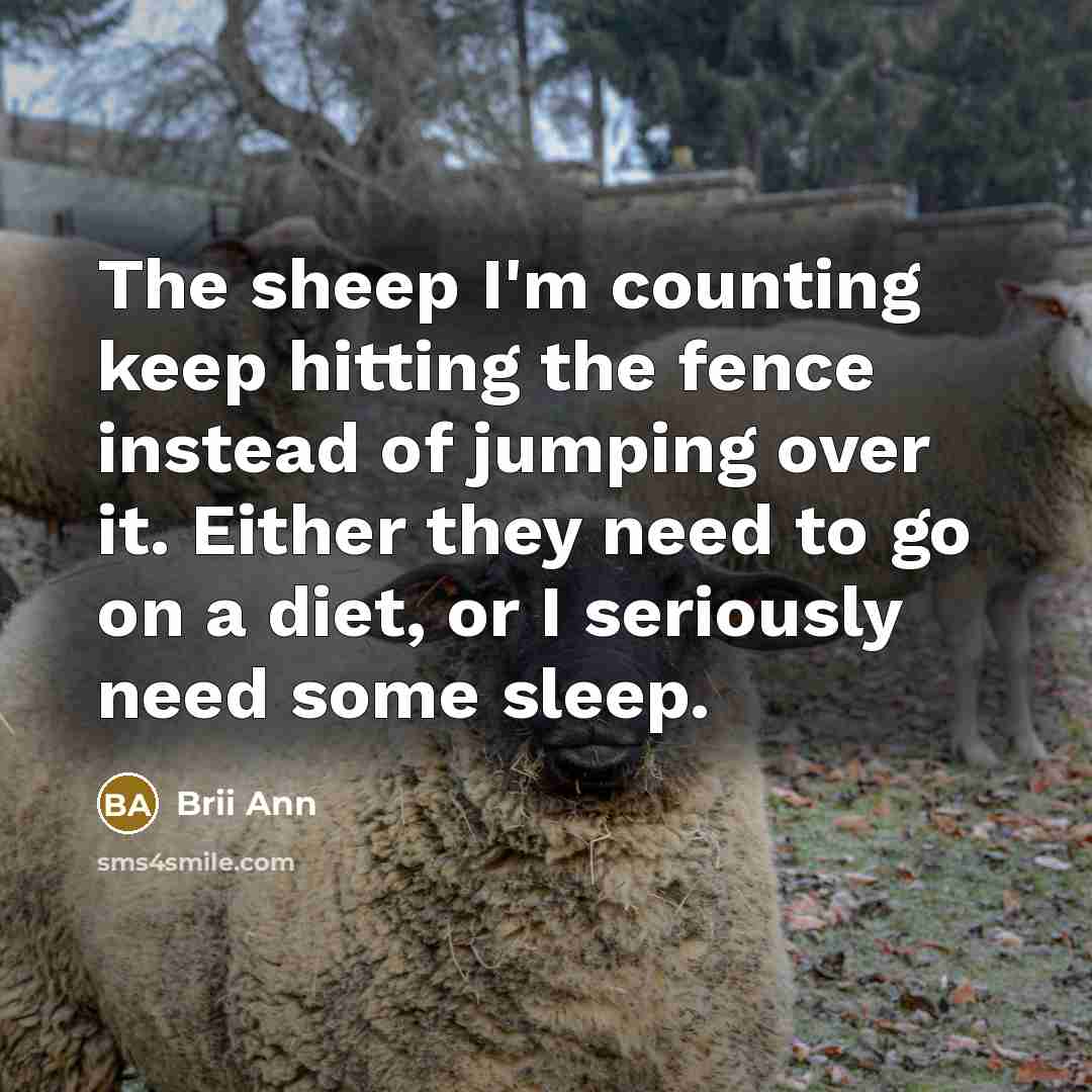 “The sheep I'm counting keep hitting the fence instead of…” quote by Brii Ann