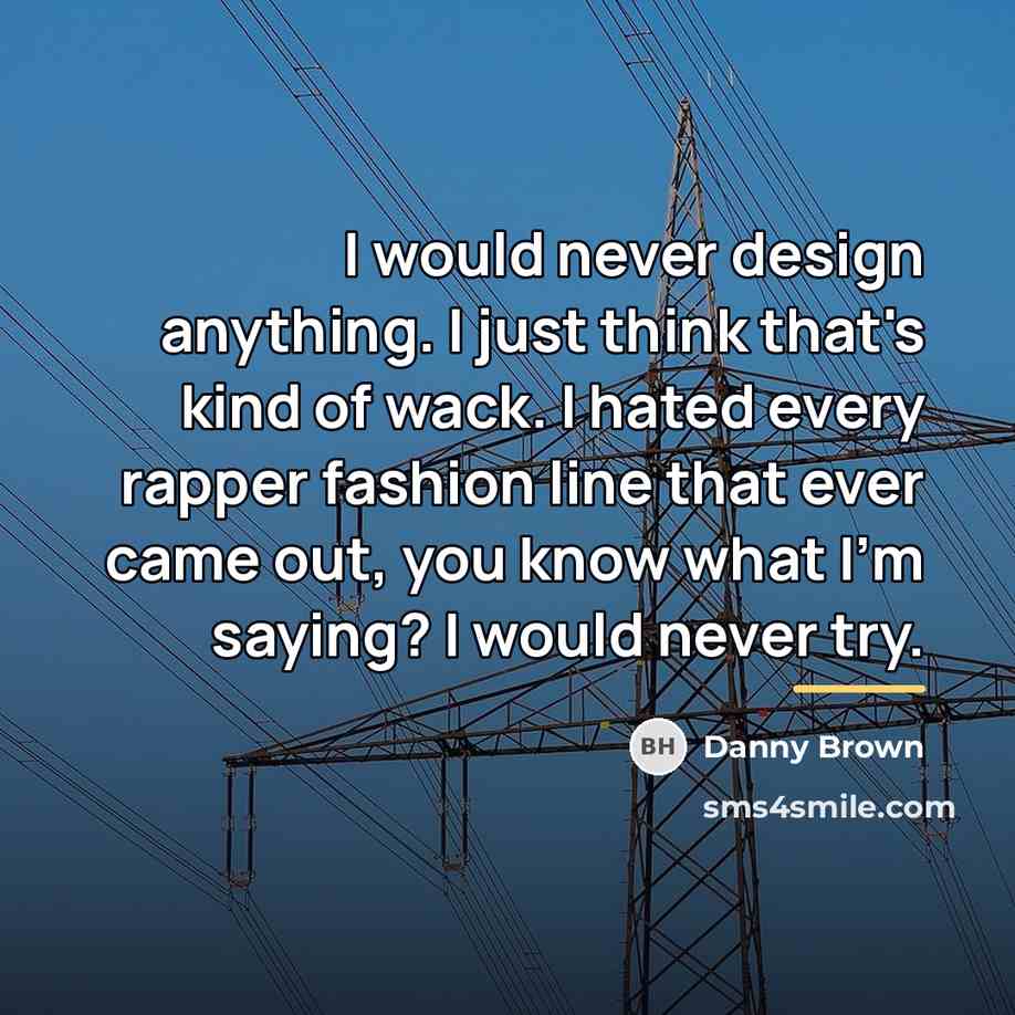“I would never design anything. I just think that's kind…” quote by Danny Brown