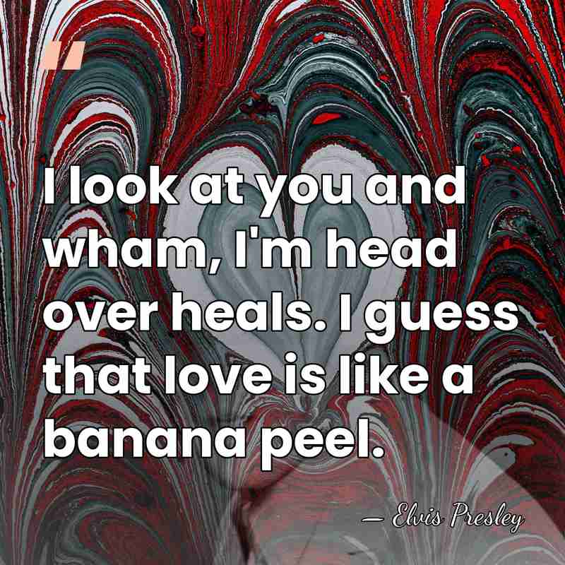 I look at you and wham, I'm head over heals. I guess&hellip; - Elvis Presley