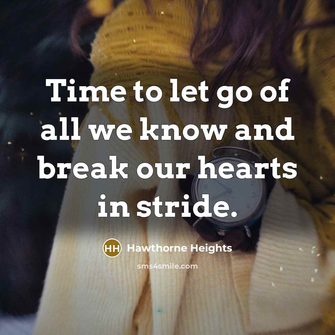 “Time to let go of all we know and break…” quote by Hawthorne Heights