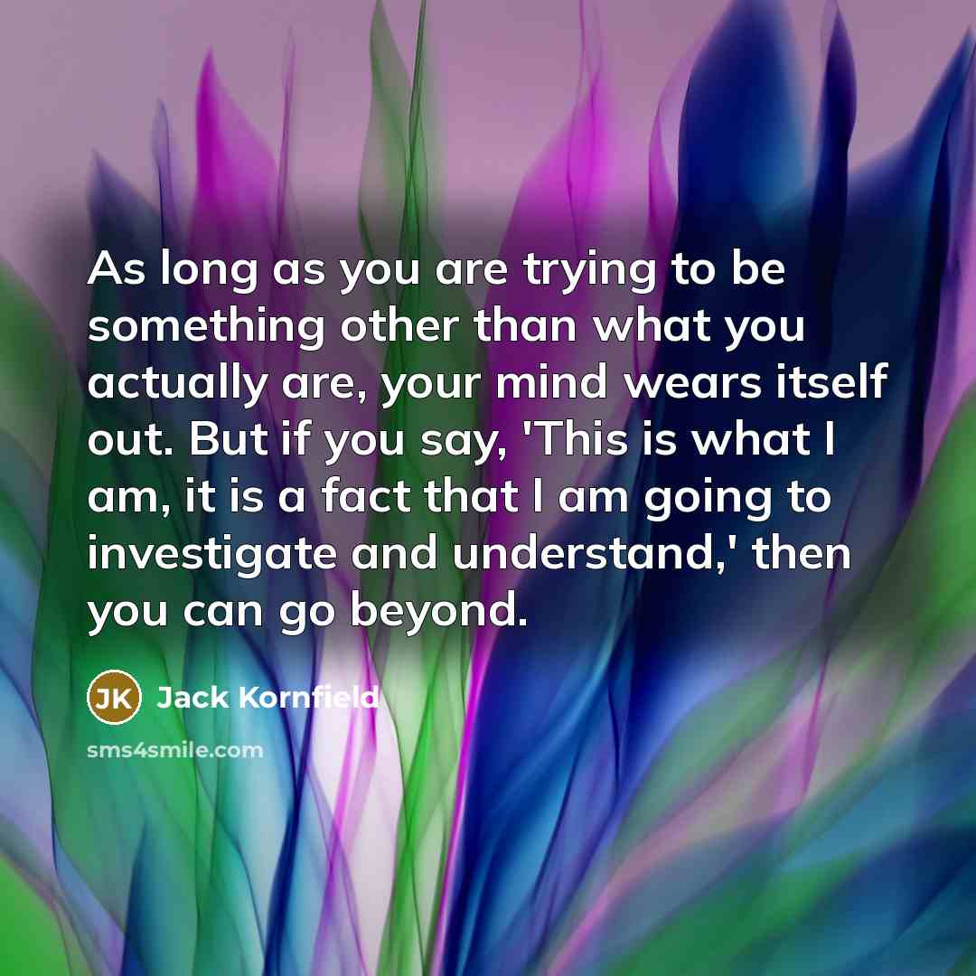 “As long as you are trying to be something other…” quote by Jack Kornfield
