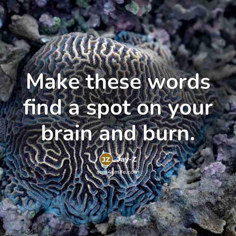 “Make these words find a spot on your brain and…” quote by Jay-Z