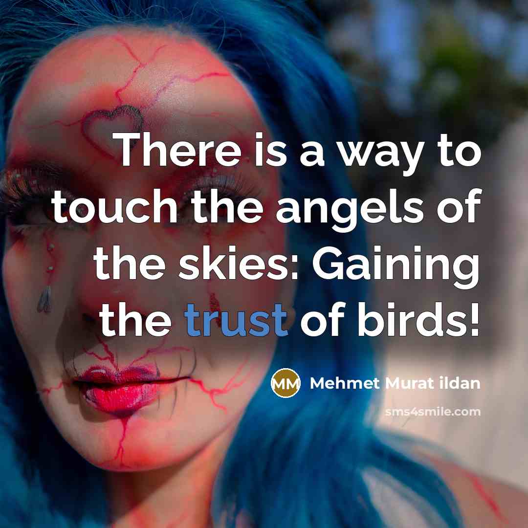 “There is a way to touch the angels of the…” quote by Mehmet Murat Ildan