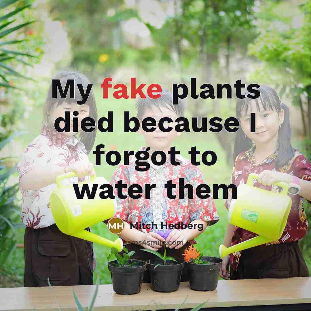 “My fake plants died because I forgot to water them…” quote by Mitch Hedberg