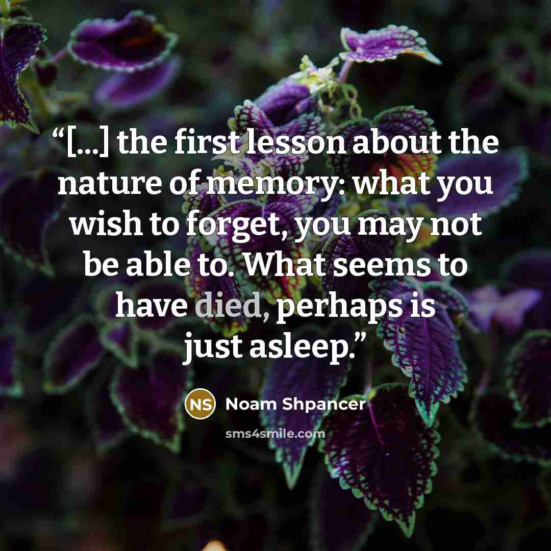 “[...] the first lesson about the nature of memory: what you wish to forget, you may not be able to. What seems to have died, perhaps is just asleep.” quote by Noam Shpancer