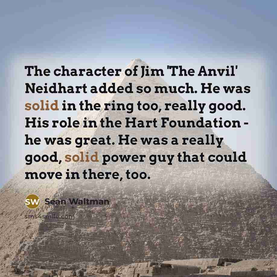 “The character of Jim 'The Anvil' Neidhart added so much.…” quote by Sean Waltman