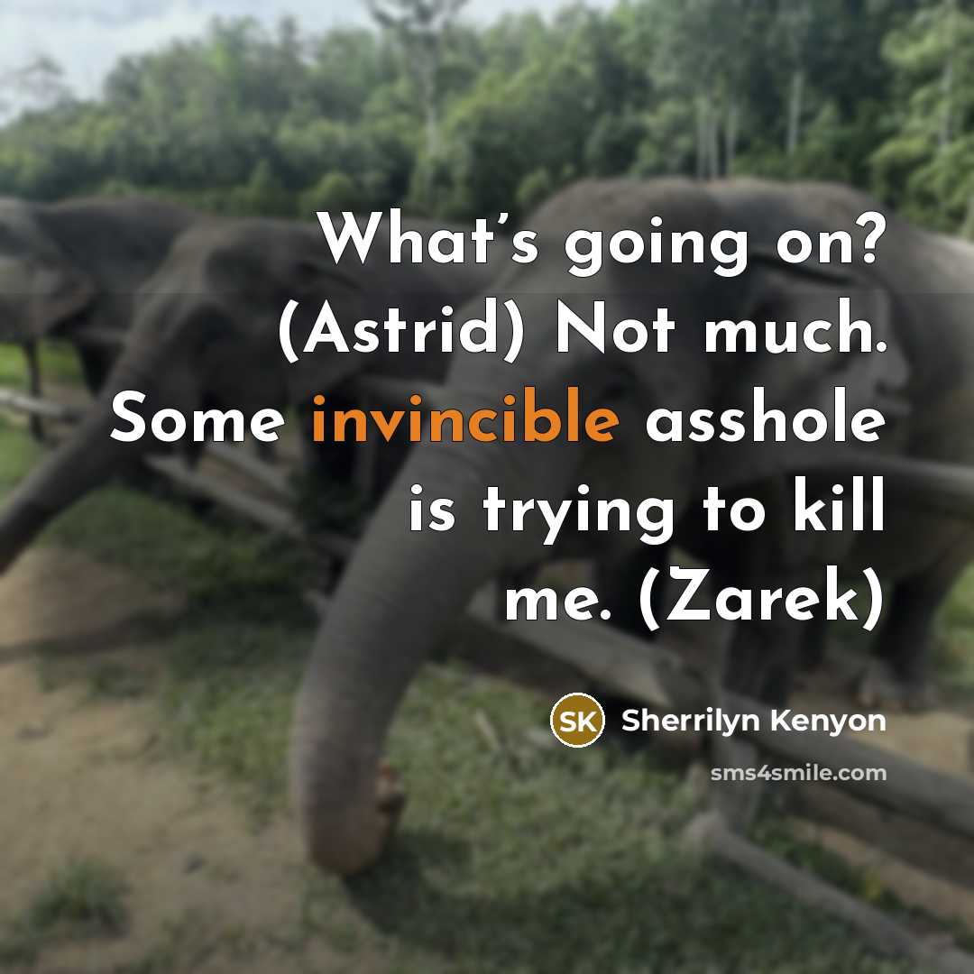 “What’s going on? (Astrid) Not much. Some invincible asshole is…” quote by Sherrilyn Kenyon