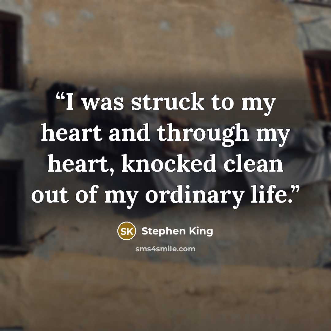 “I was struck to my heart and through my heart, knocked clean out of my ordinary life.” quote by Stephen King