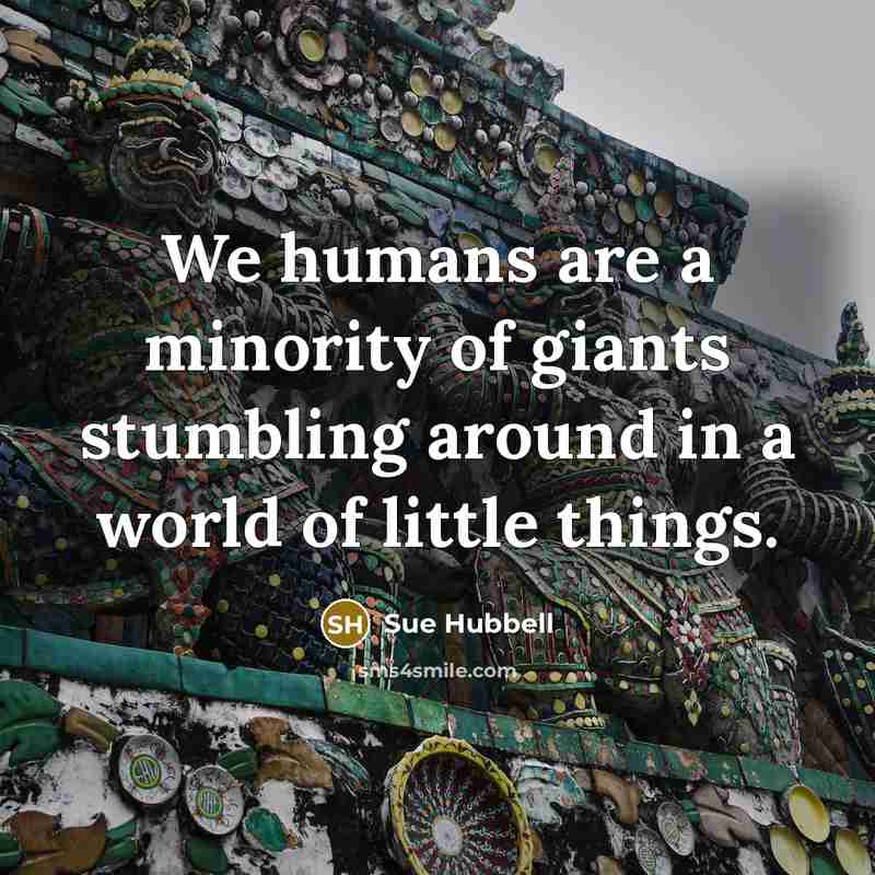 “We humans are a minority of giants stumbling around in…” quote by Sue Hubbell