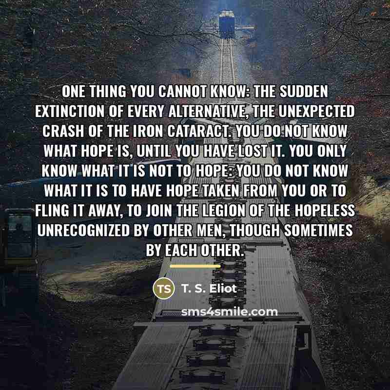 “One thing you cannot know: The sudden extinction of every…” quote by T. S. Eliot