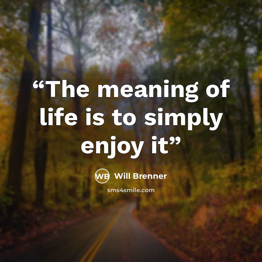 “The meaning of life is to simply enjoy it” quote by Will Brenner