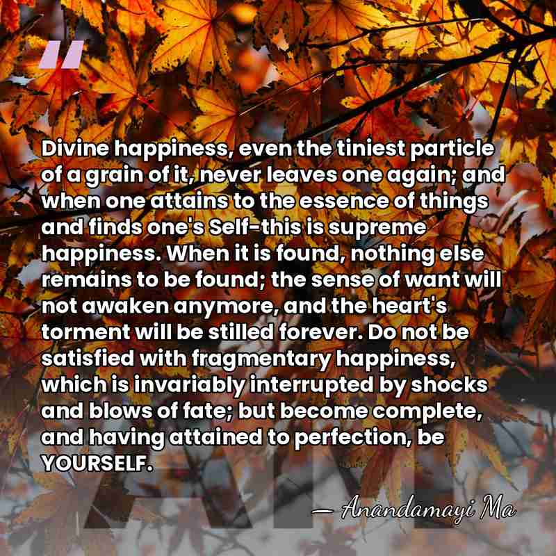 Divine happiness, even the tiniest particle of a grain of it, never&hellip; - Anandamayi Ma