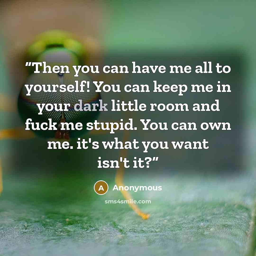 “Then you can have me all to yourself! You can keep me in your dark little room and fuck me stupid. You can own me. it's what you want isn't it?” quote by Anonymous