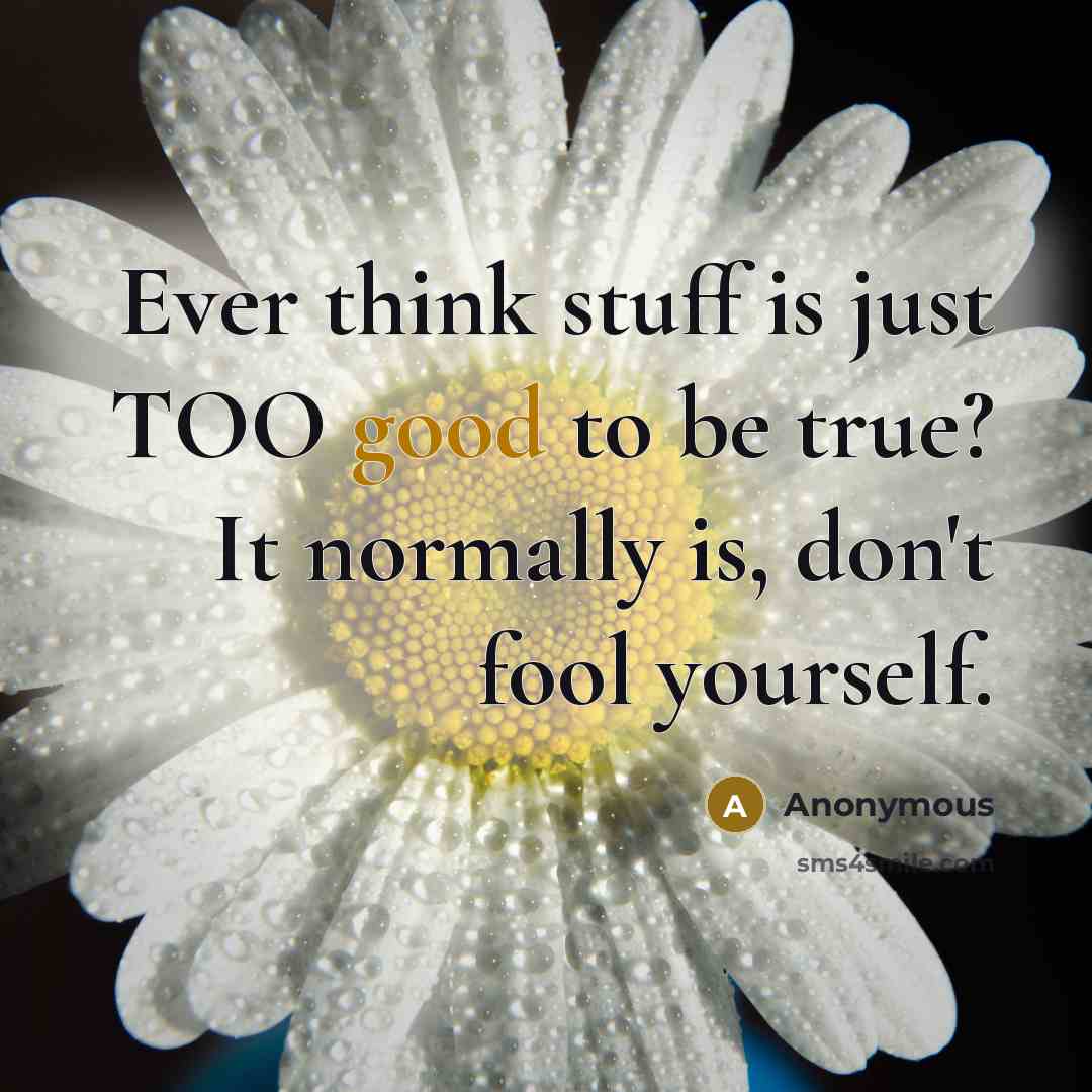 “Ever think stuff is just TOO good to be true?…” quote by Anonymous