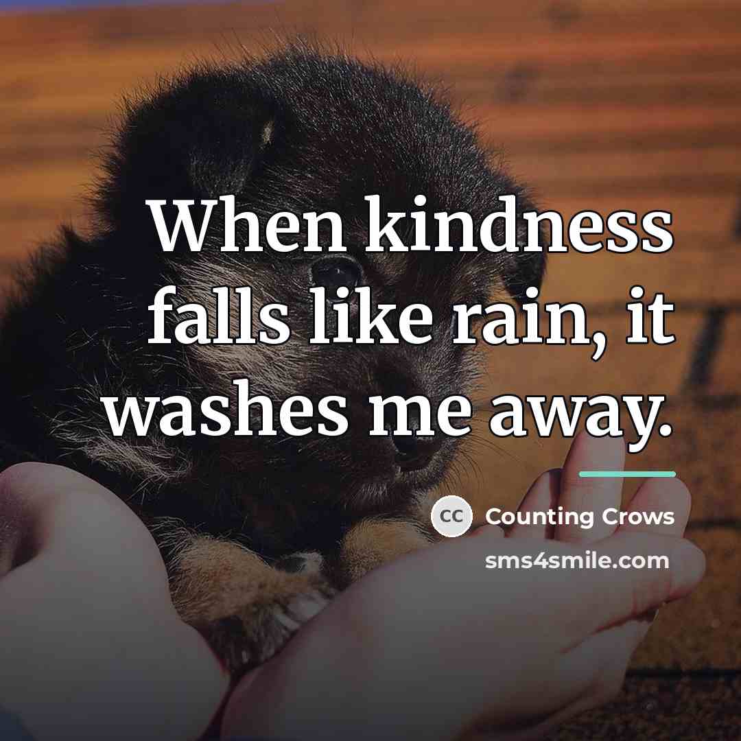 “When kindness falls like rain, it washes me away.…” quote by Counting Crows