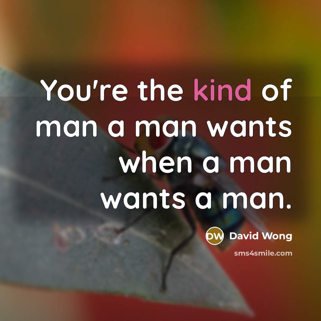 “You're the kind of man a man wants when a…” quote by David Wong