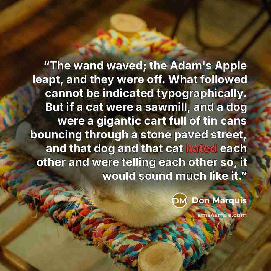 “The wand waved; the Adam's Apple leapt, and they were off. What followed cannot be indicated typographically. But if a cat were a sawmill, and a dog were a gigantic cart full of tin cans bouncing through a stone paved street, and that dog and that cat hated each other and were telling each other…” quote by Don Marquis