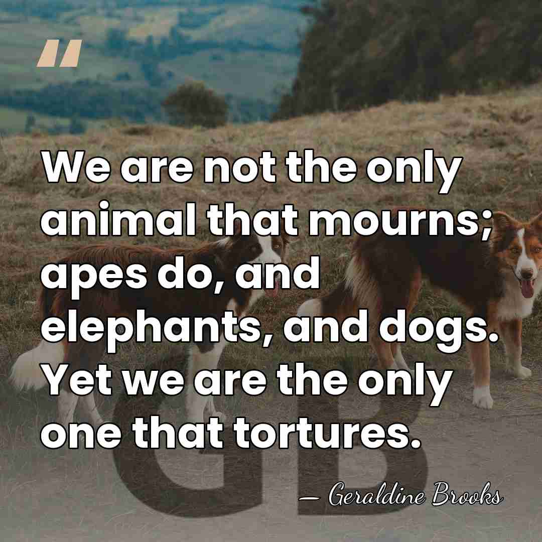 We are not the only animal that mourns; apes do, and elephants,&hellip; - Geraldine Brooks