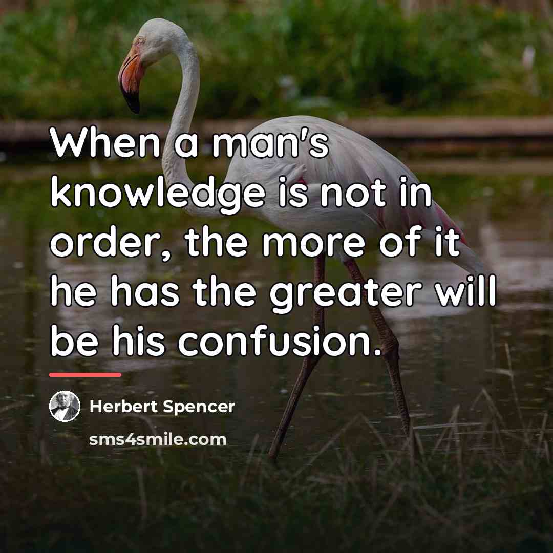 “When a man's knowledge is not in order, the more…” quote by Herbert Spencer
