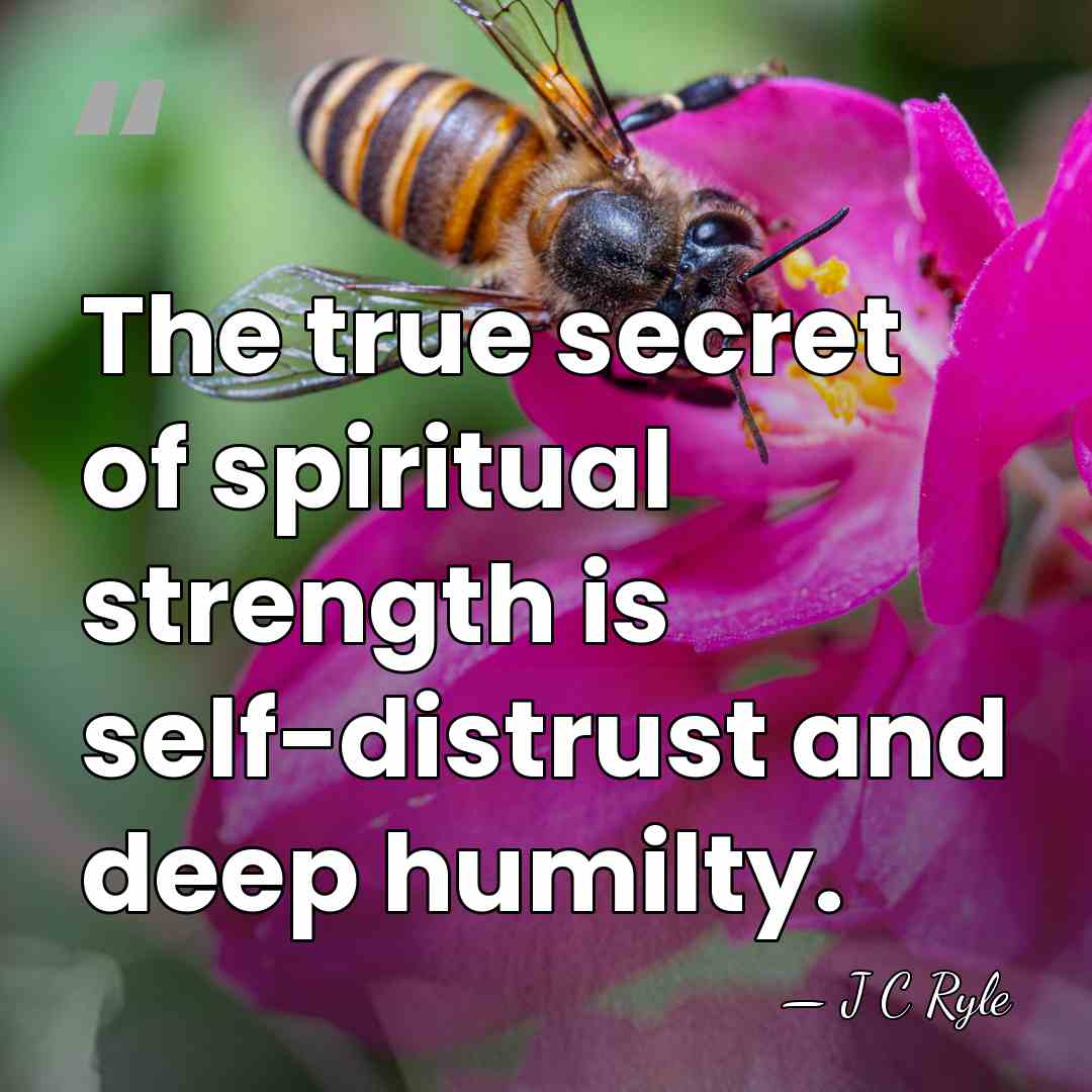 The true secret of spiritual strength is self-distrust and deep humilty. - J C Ryle