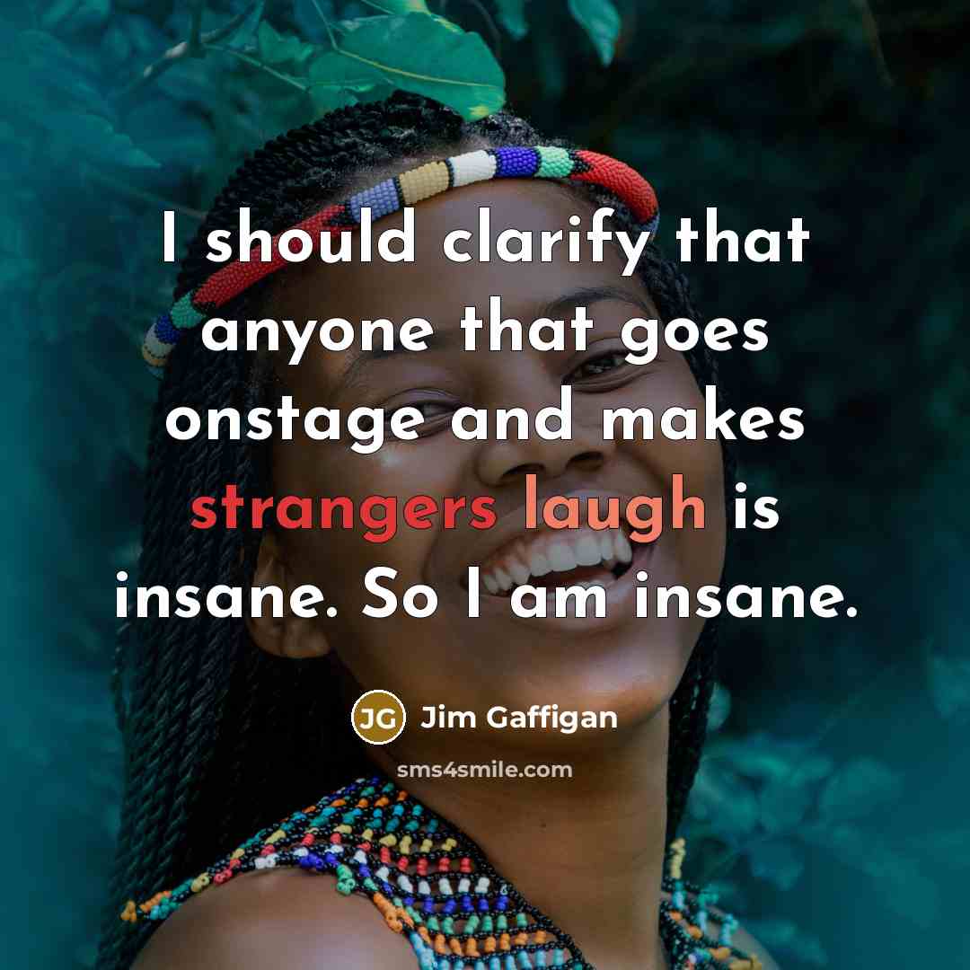 “I should clarify that anyone that goes onstage and makes strangers laugh is insane. So I am insane.” quote by Jim Gaffigan
