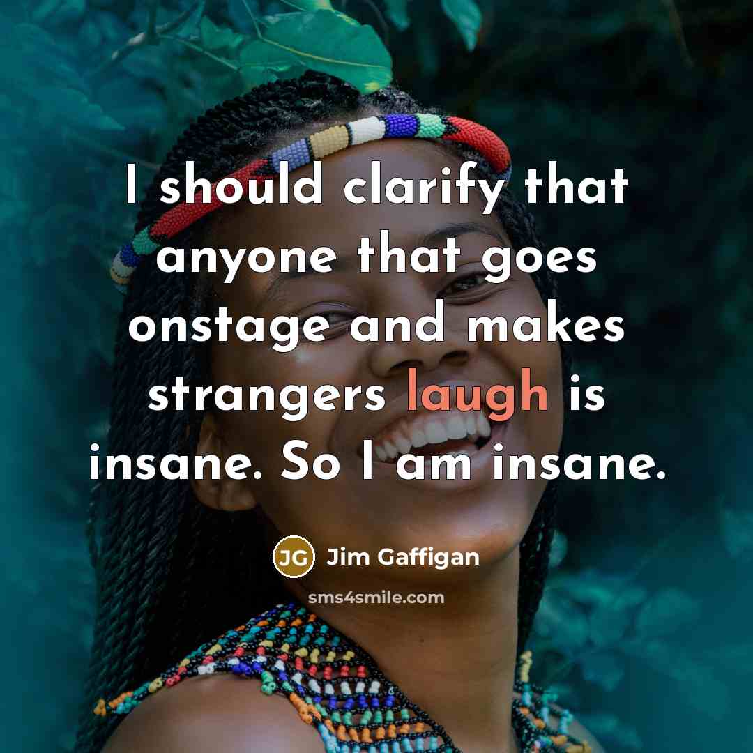 “I should clarify that anyone that goes onstage and makes…” quote by Jim Gaffigan